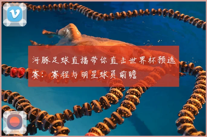 河豚足球直播带你直击世界杯预选赛：赛程与明星球员前瞻