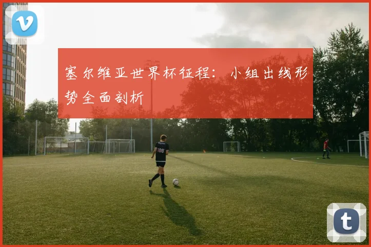 塞尔维亚世界杯征程：小组出线形势全面剖析