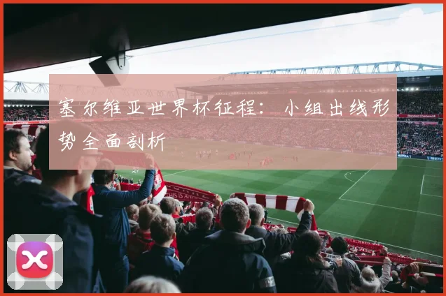 塞尔维亚世界杯征程：小组出线形势全面剖析