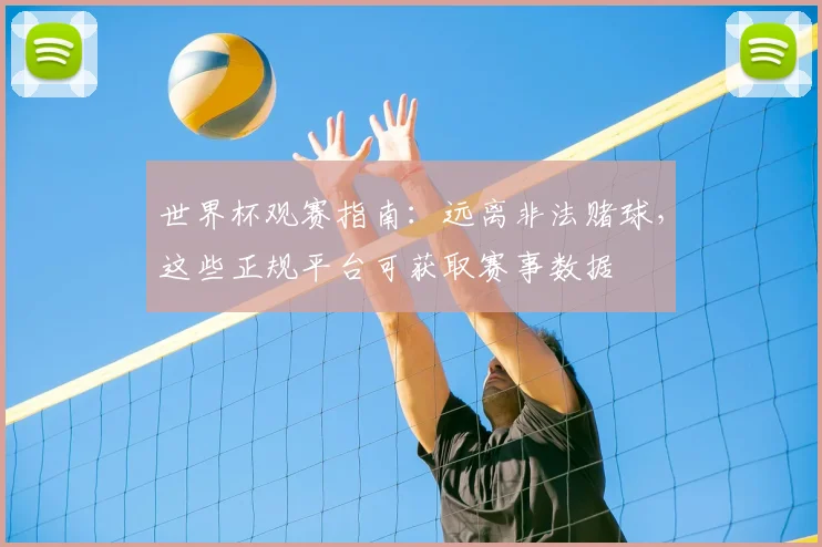 世界杯观赛指南:远离非法赌球,这些正规平台可获取赛事数据