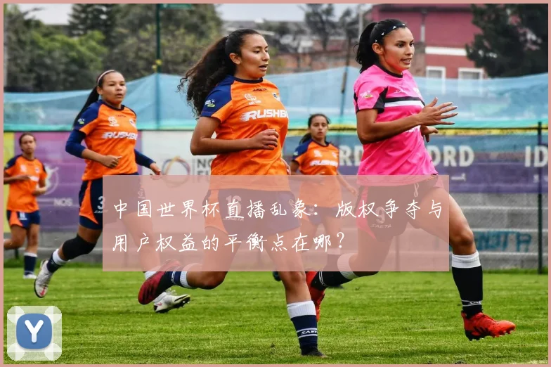中国世界杯直播乱象：版权争夺与用户权益的平衡点在哪？