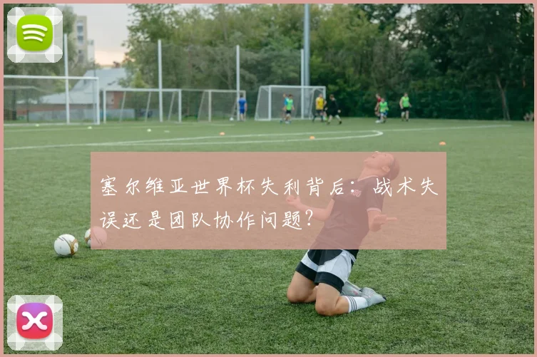 塞尔维亚世界杯失利背后：战术失误还是团队协作问题？