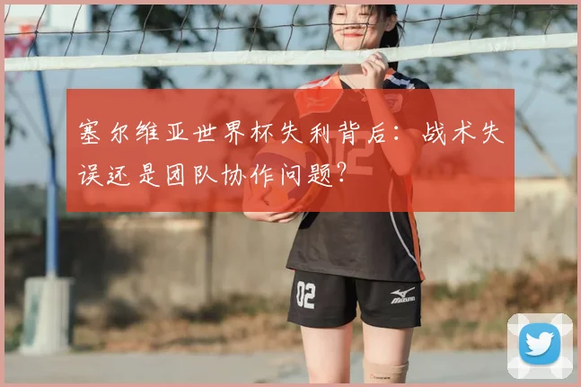 塞尔维亚世界杯失利背后：战术失误还是团队协作问题？