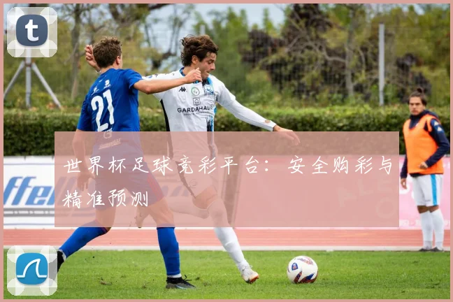 世界杯足球竞彩平台:安全购彩与精准预测