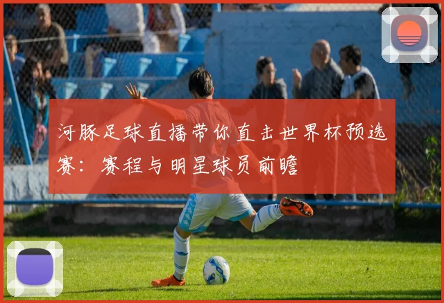 河豚足球直播带你直击世界杯预选赛：赛程与明星球员前瞻